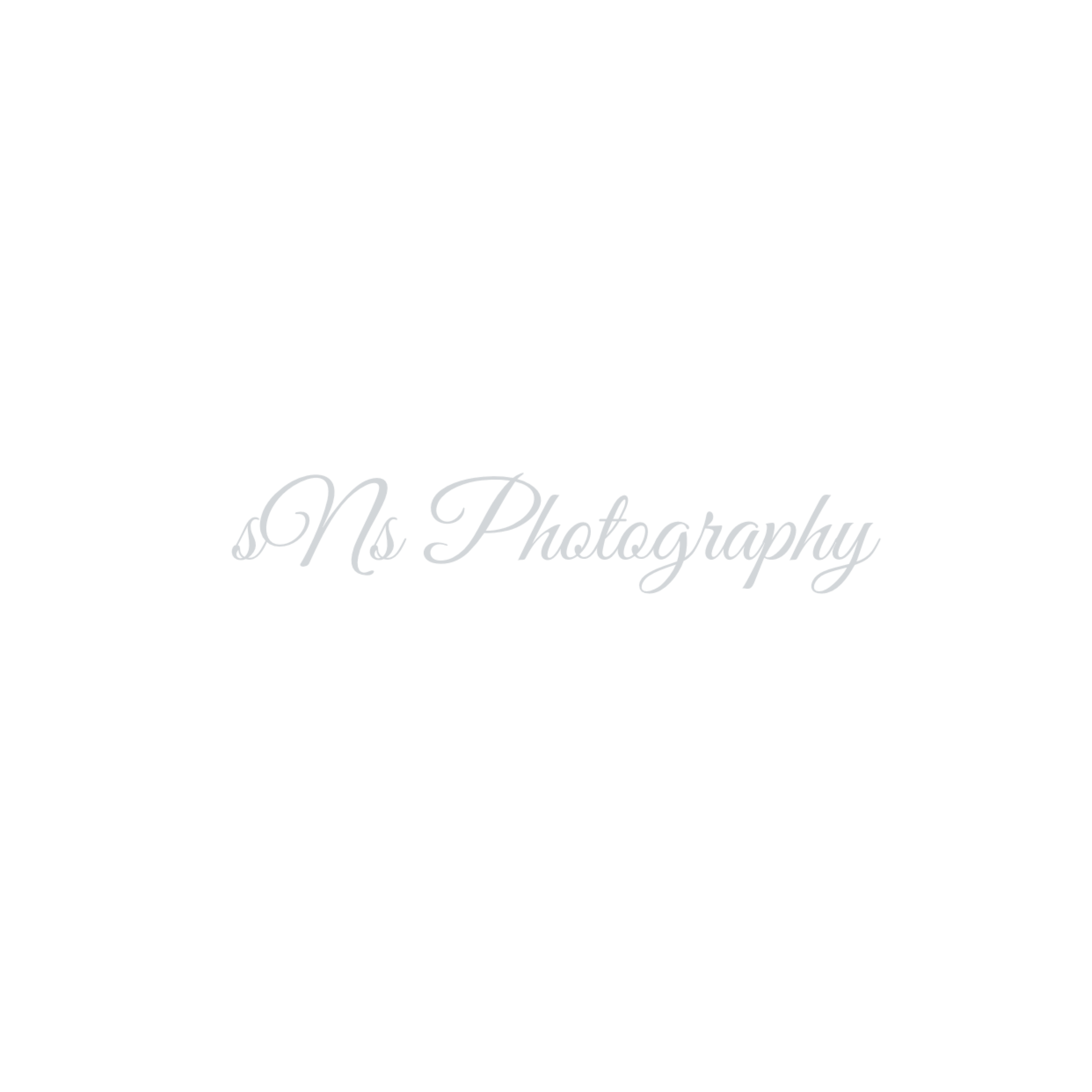 sNs Photography