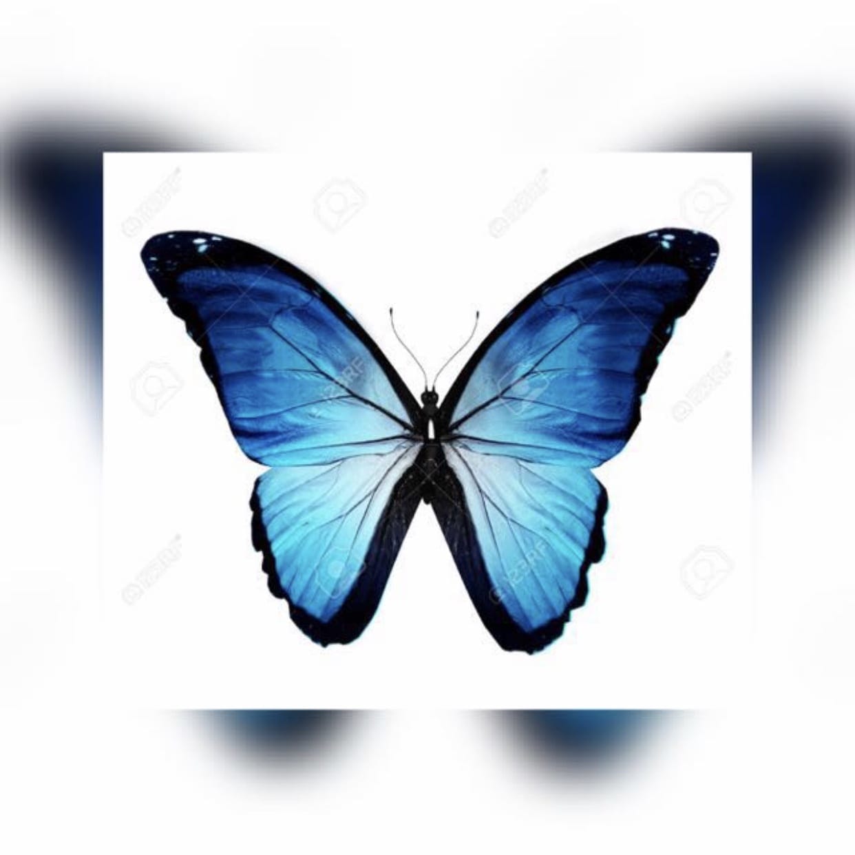 Casa De Reposo Para La 3Ra Edad “Las Mariposas”