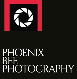 Phoenix Bee Photography