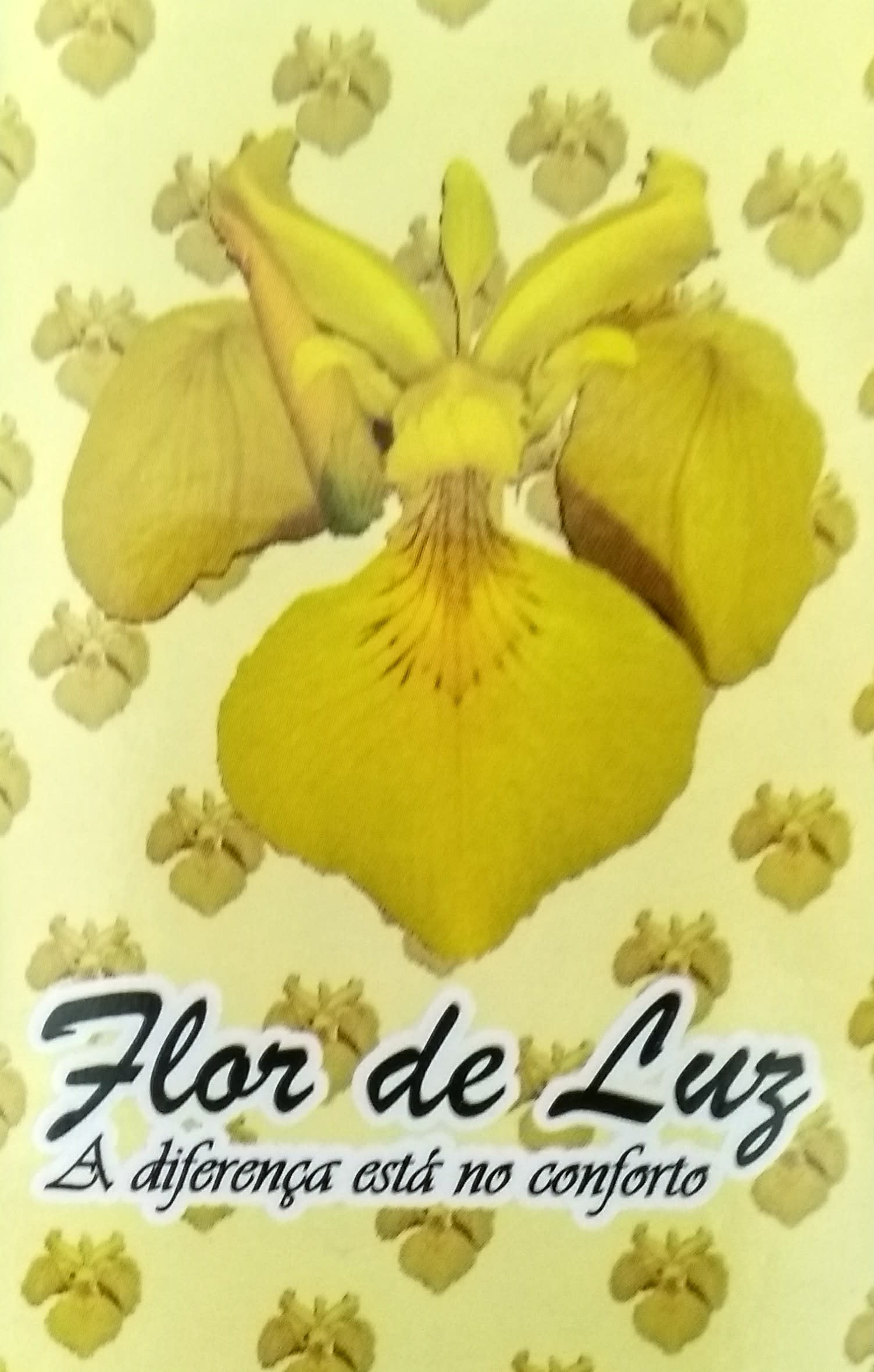 Flor de Luz