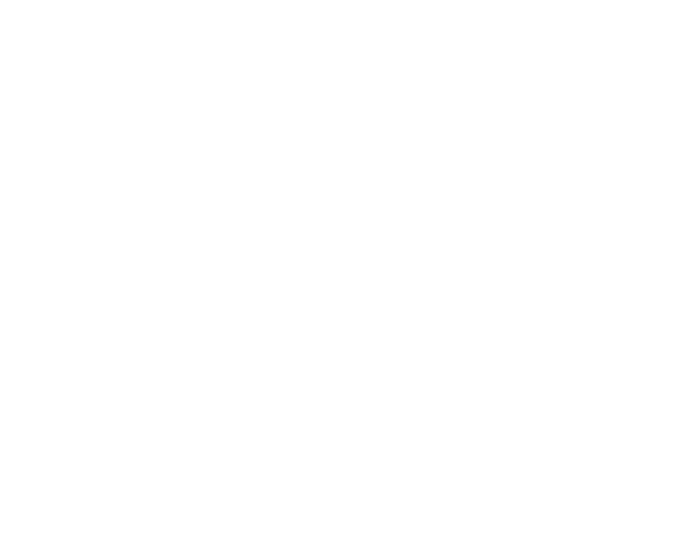 Indie Fotografias