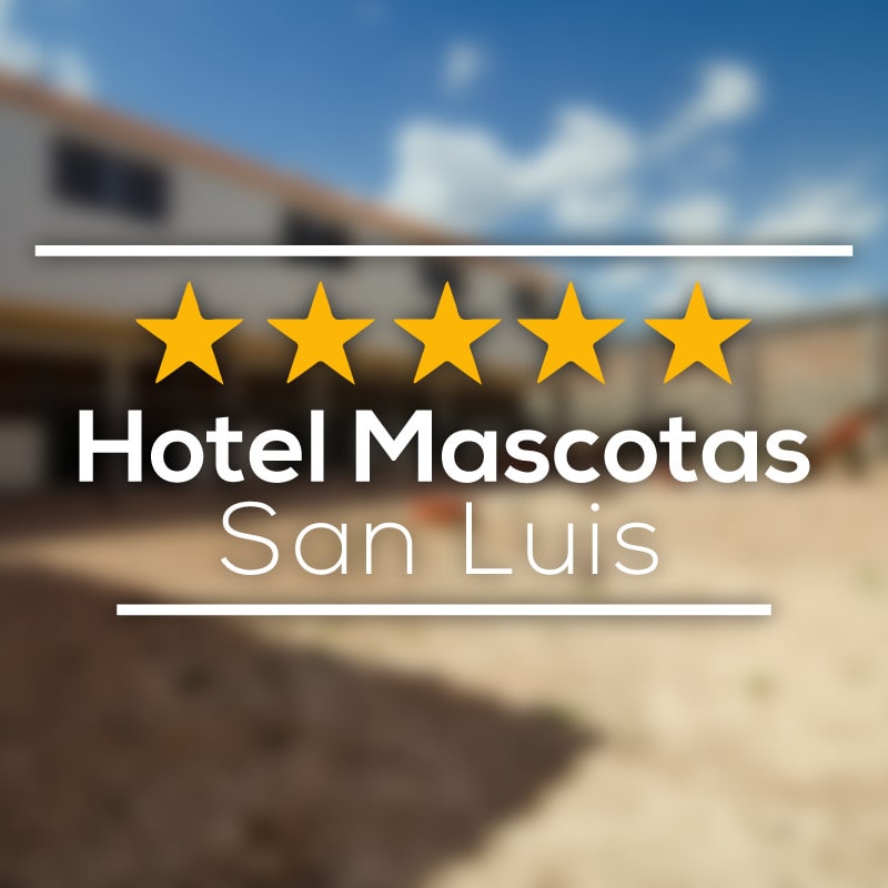 Hotel Mascotas San Luis
