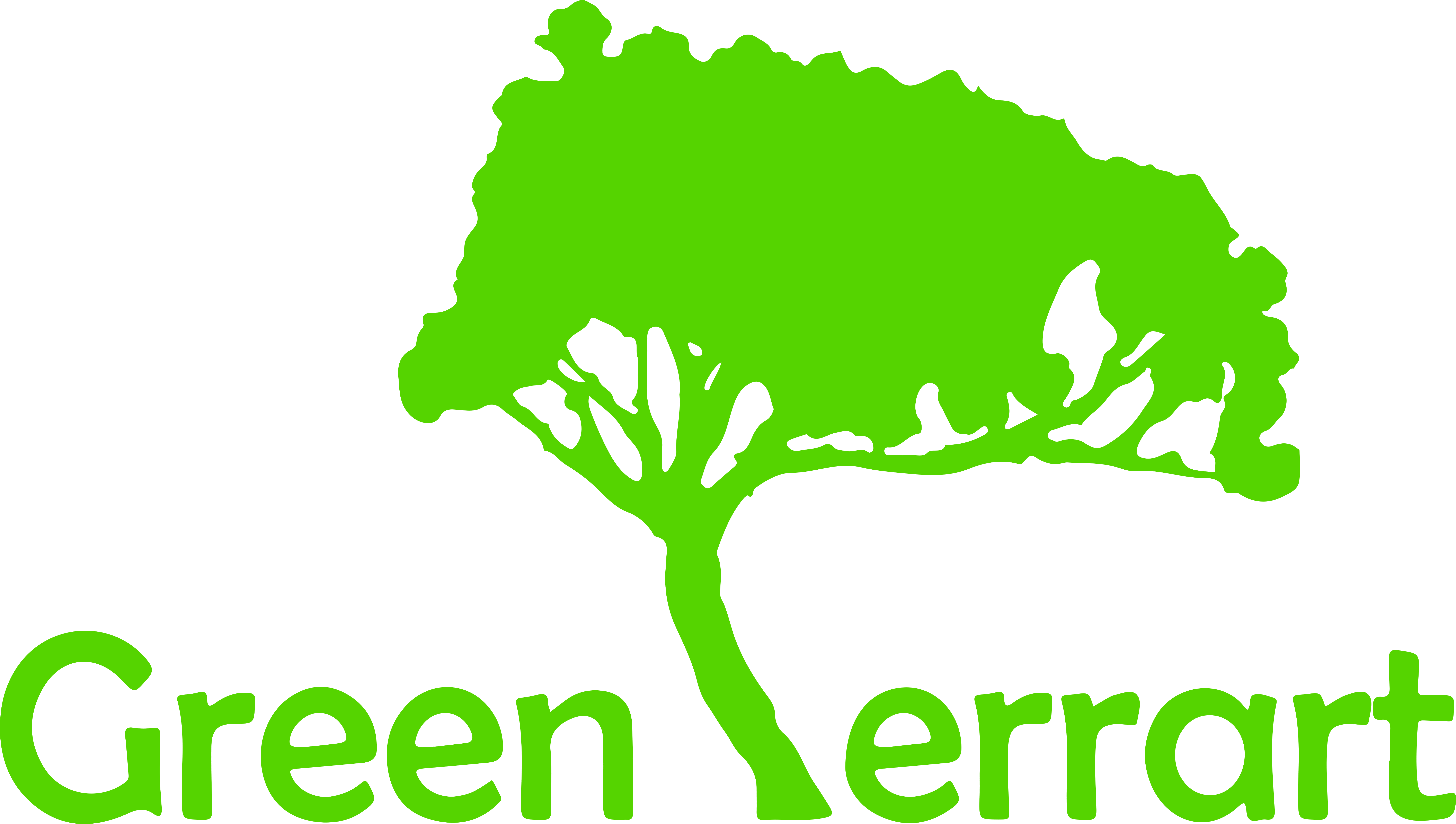 Green Terrart