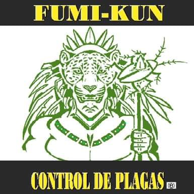 Fumi-Kun