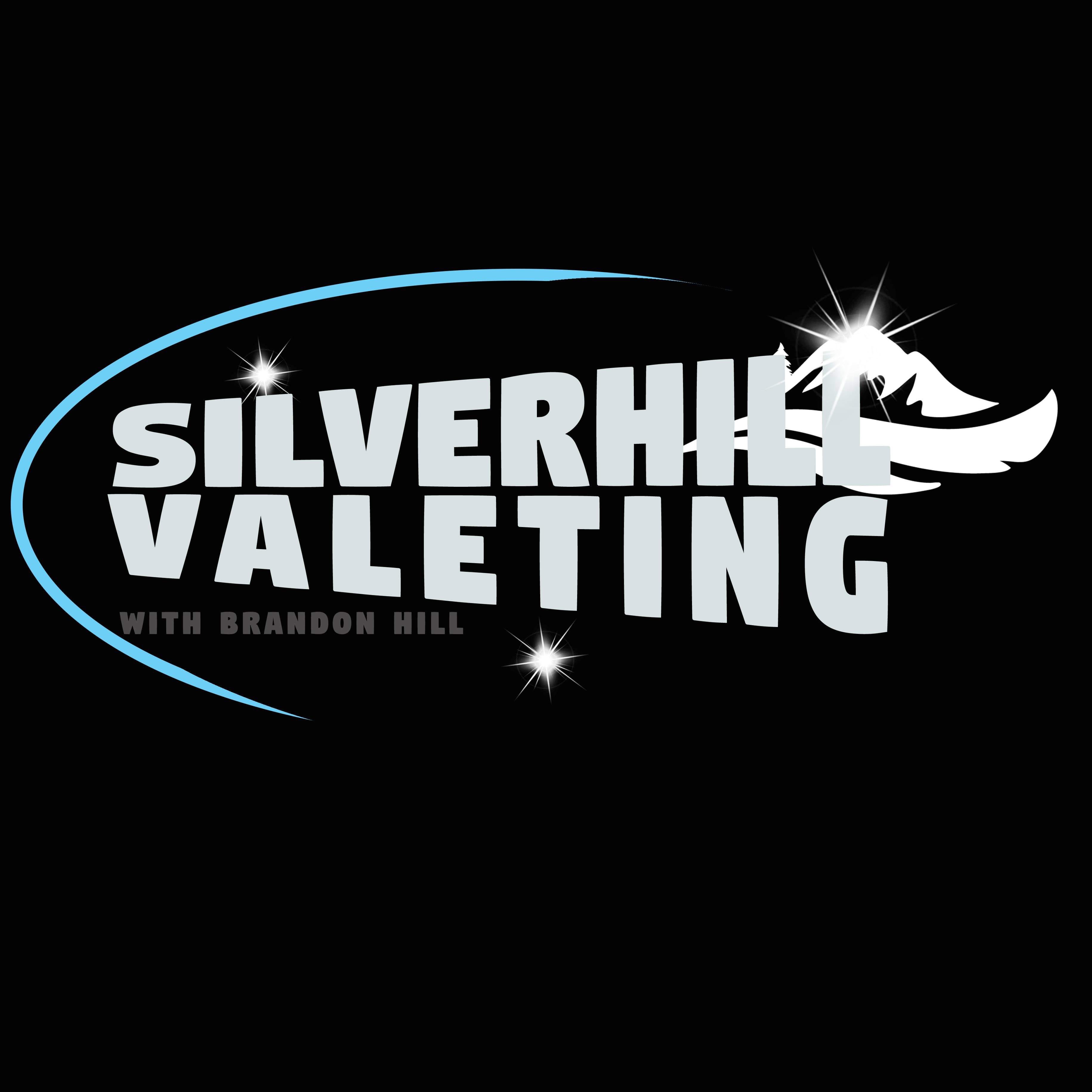 Silverhill Valeting