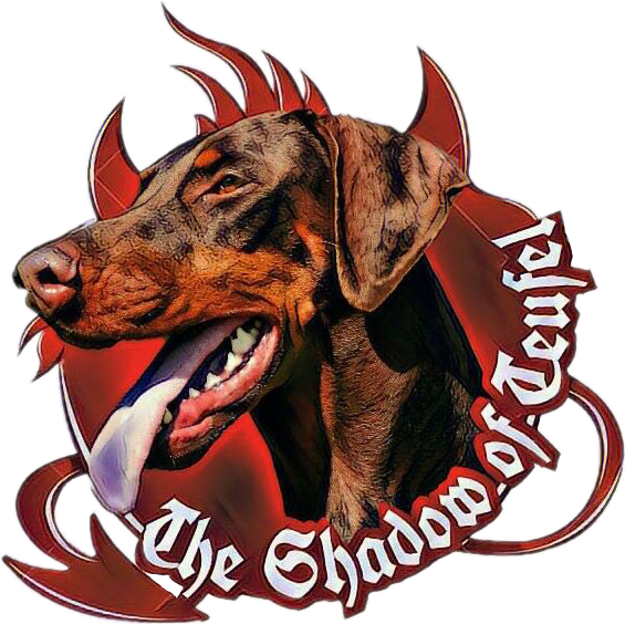 The shadow of teufel