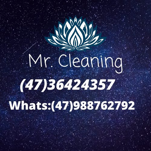 Mr.Cleaning
