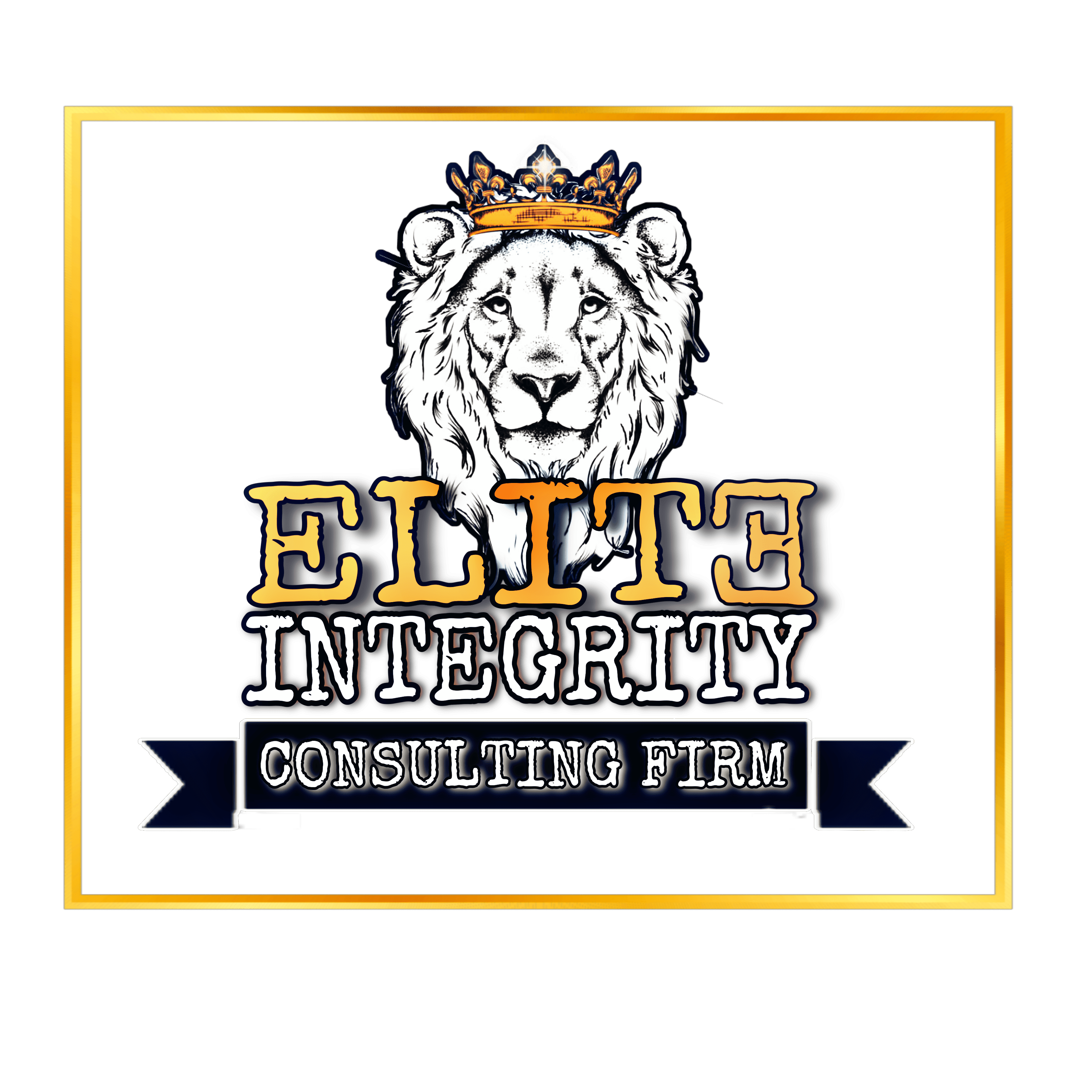 Elite Integrity Consulting Firm