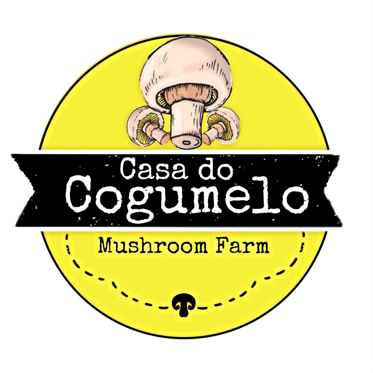 Casa do Cogumelo