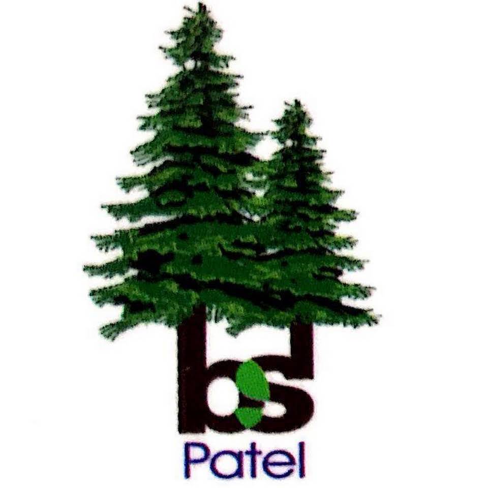 B.S.Patel & Co.