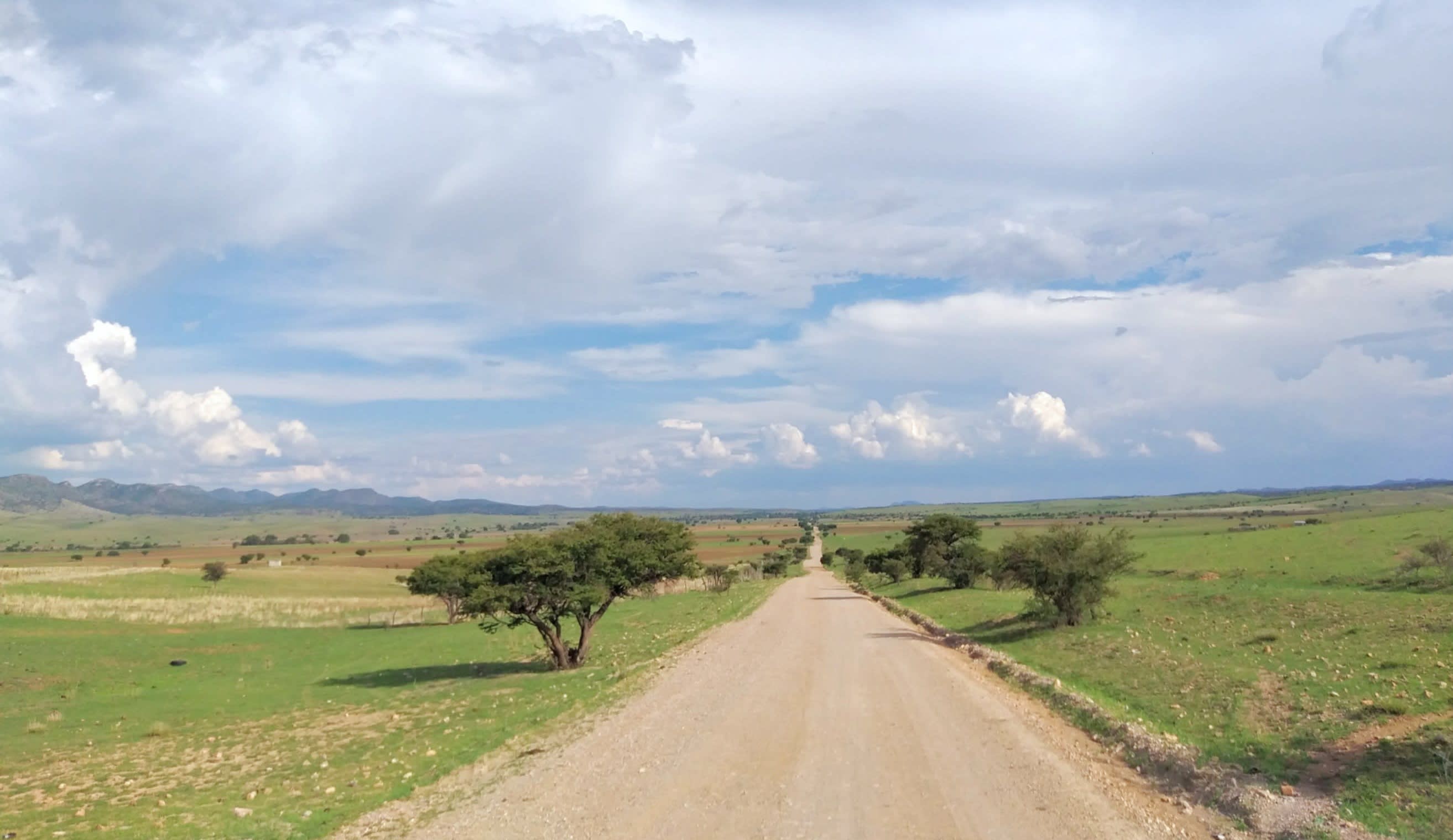 Sauces de Canutillo Ocampo Durango Visitas guiadas