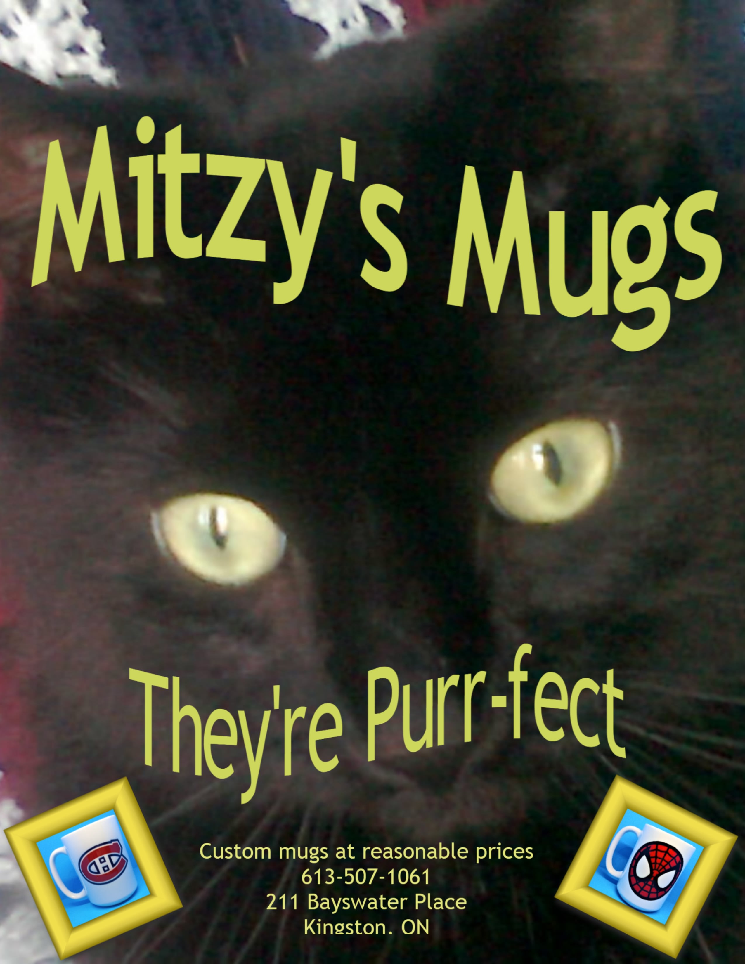Mitz's Mugs