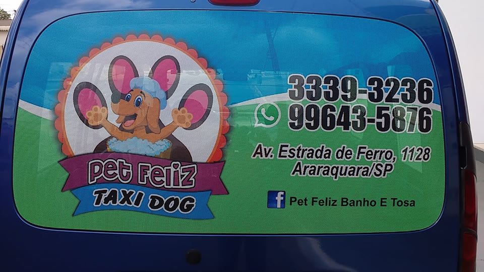 Táxi Dog Pet Feliz Araraquara