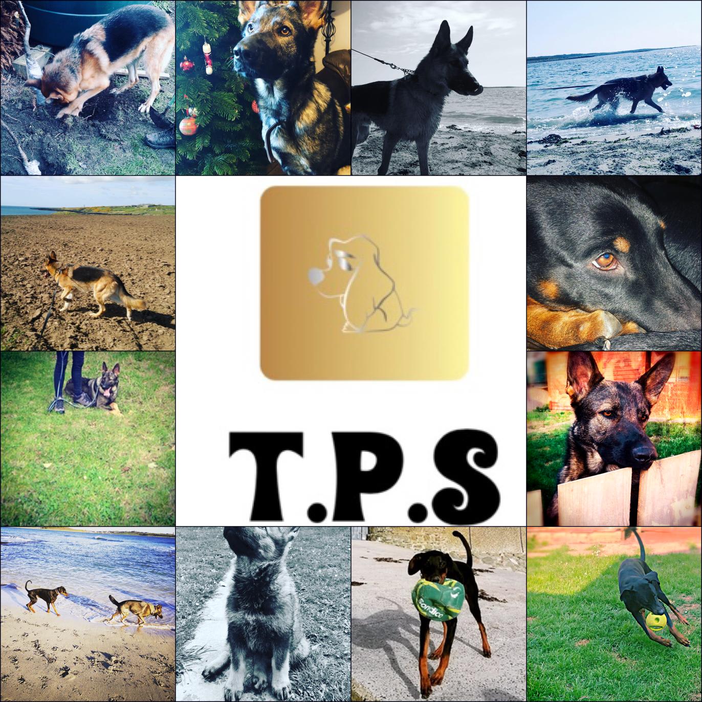 T.P.S Fit For Pets