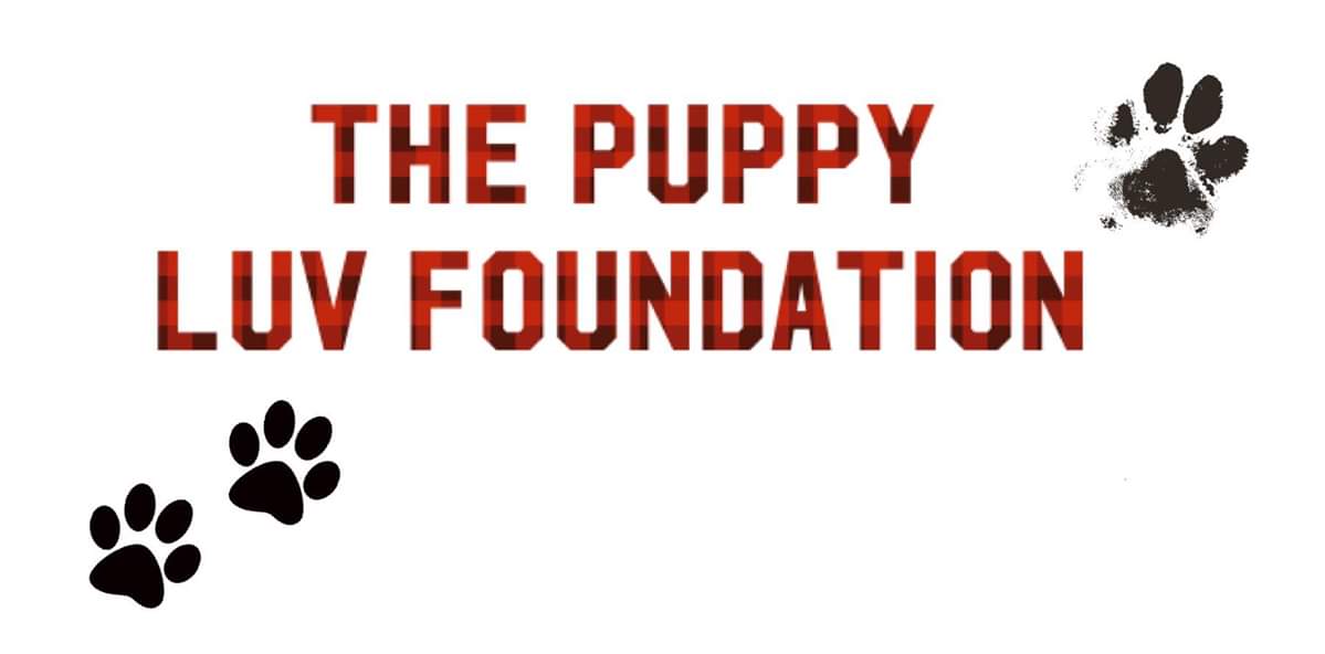 The Puppy Luv Foundation