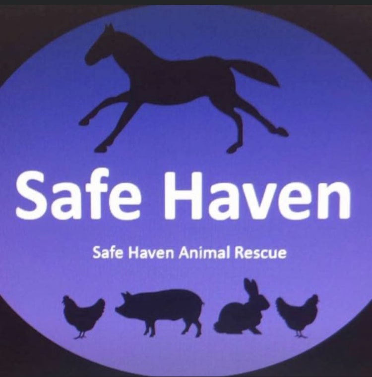 Safe Haven Animal Rescue