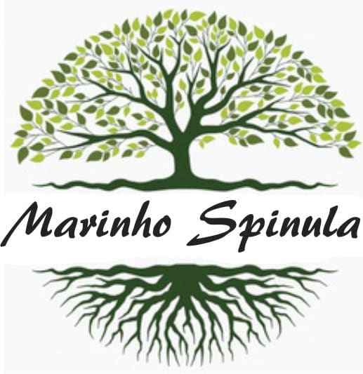 Marinho Spinula