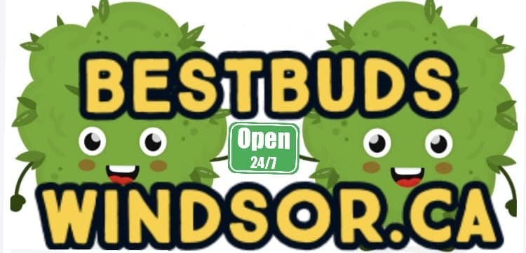 Best Buds Windsor