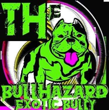 The Bullhazard