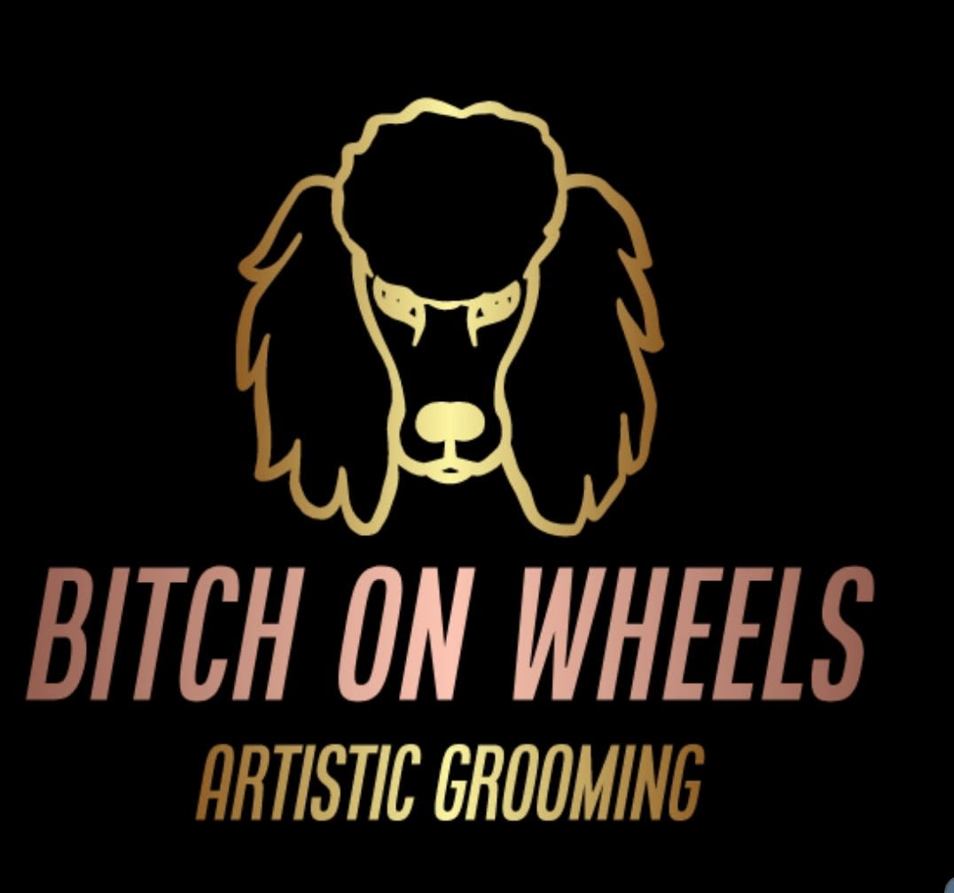 Bitch On Wheels