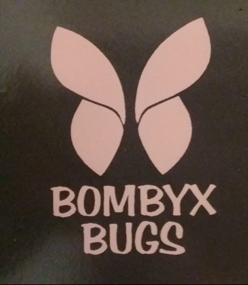 BombyxBugs - Alimento em Movimento