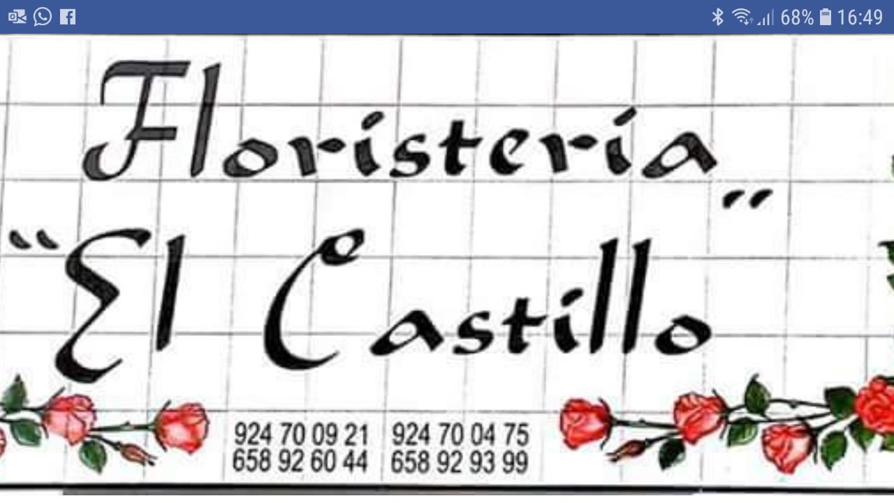 Floristeria el Castillo