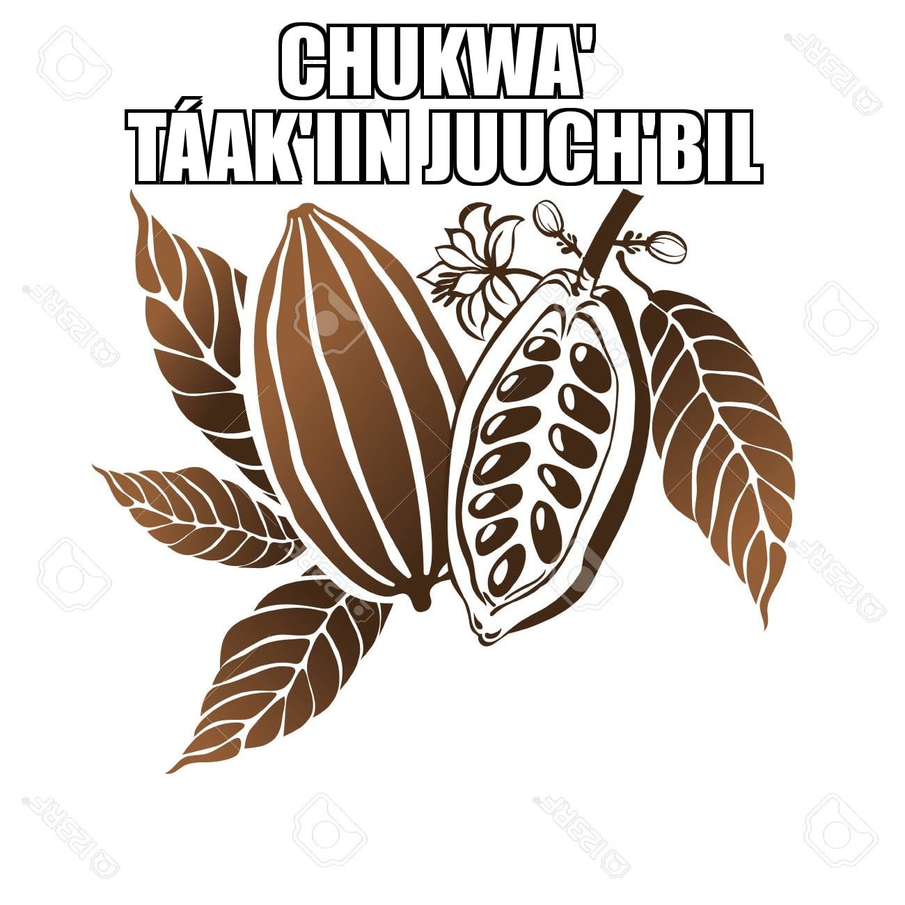 Chukwa' Táak'iin Juuch'bil