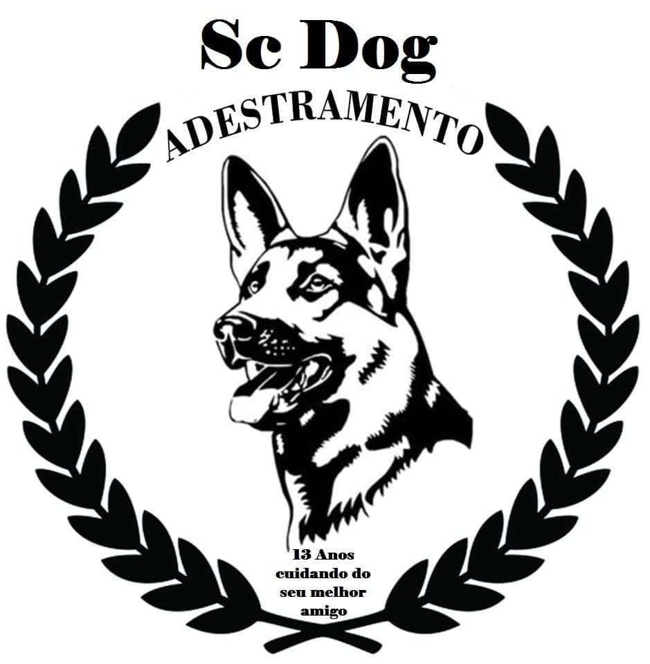 SC Dog Adestramento