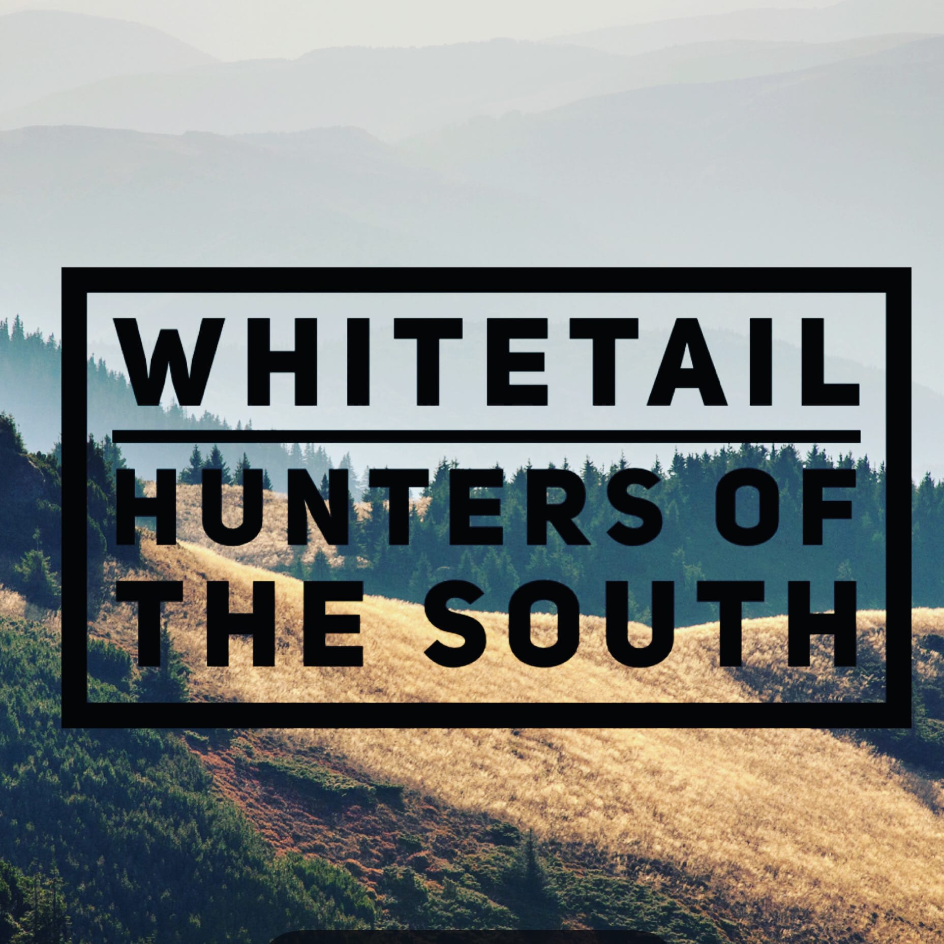 Southern Whitetail