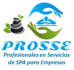 PROSSE Profesionales en Servicios SPA para Empresas