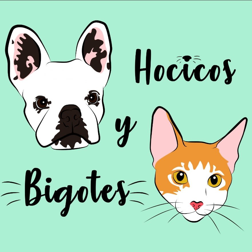 Hocicos y Bigotes