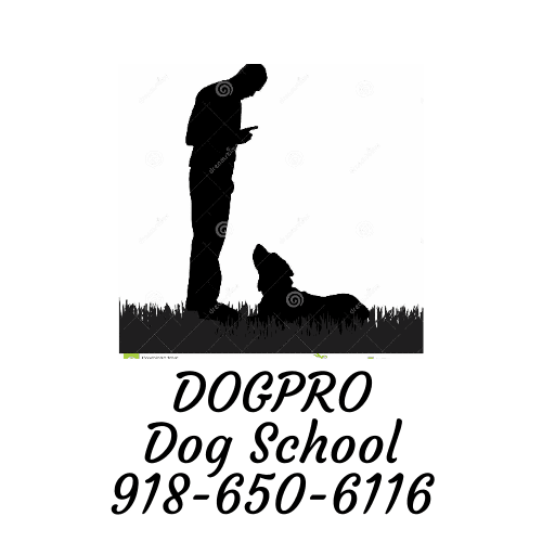 DogPro Dog School