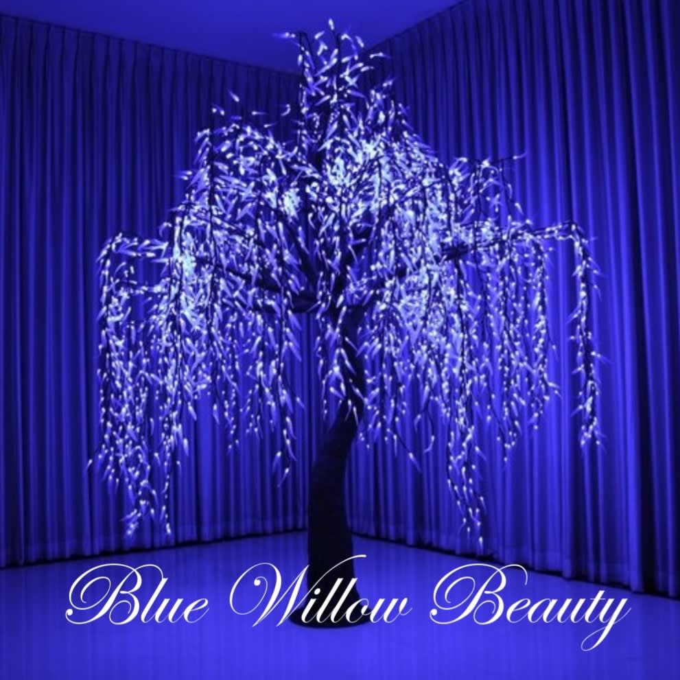 Blue Willow Beauty