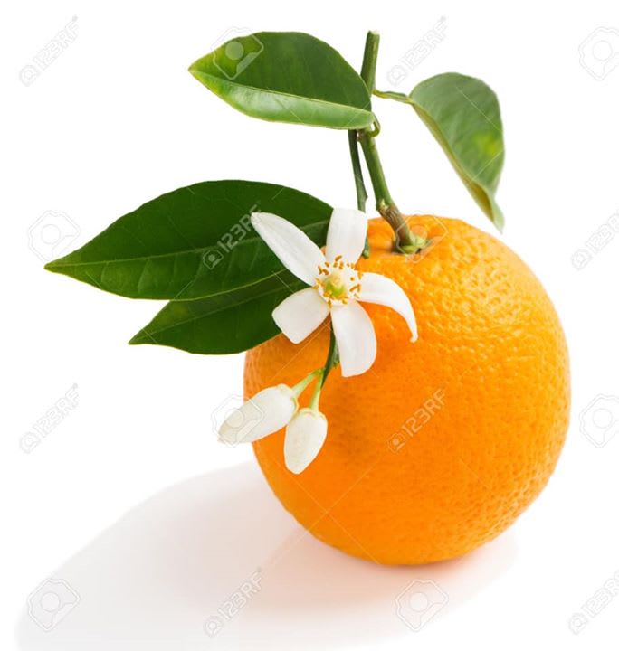 Orange Blossom Med Spa