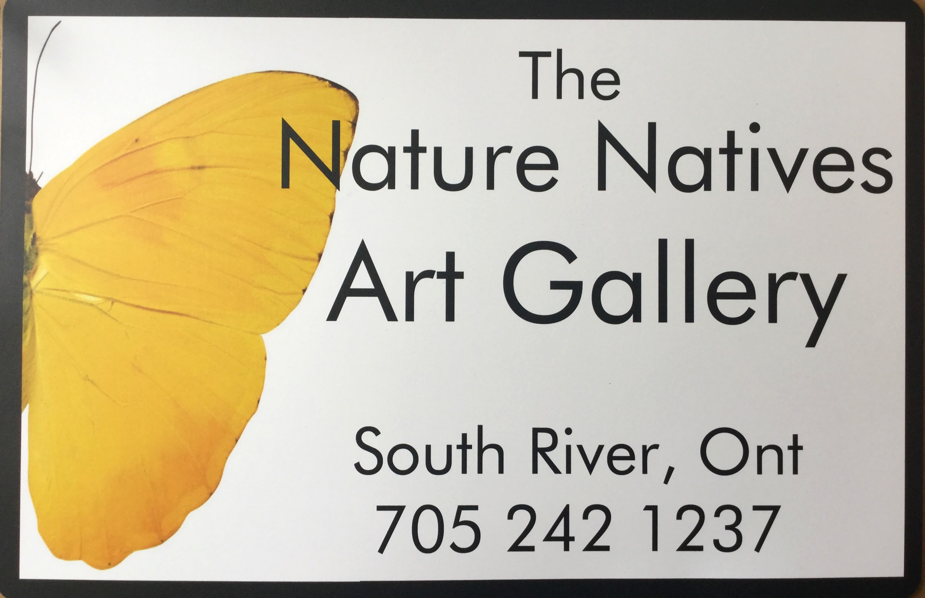 The Nature Natives Art Gallery