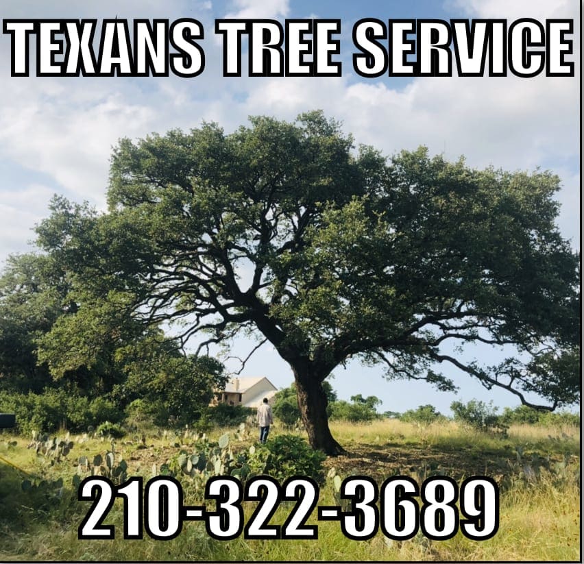 Texan’s Tree Service