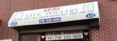 T & S Live Poultry