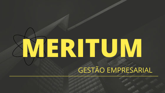 Grupo Meritum