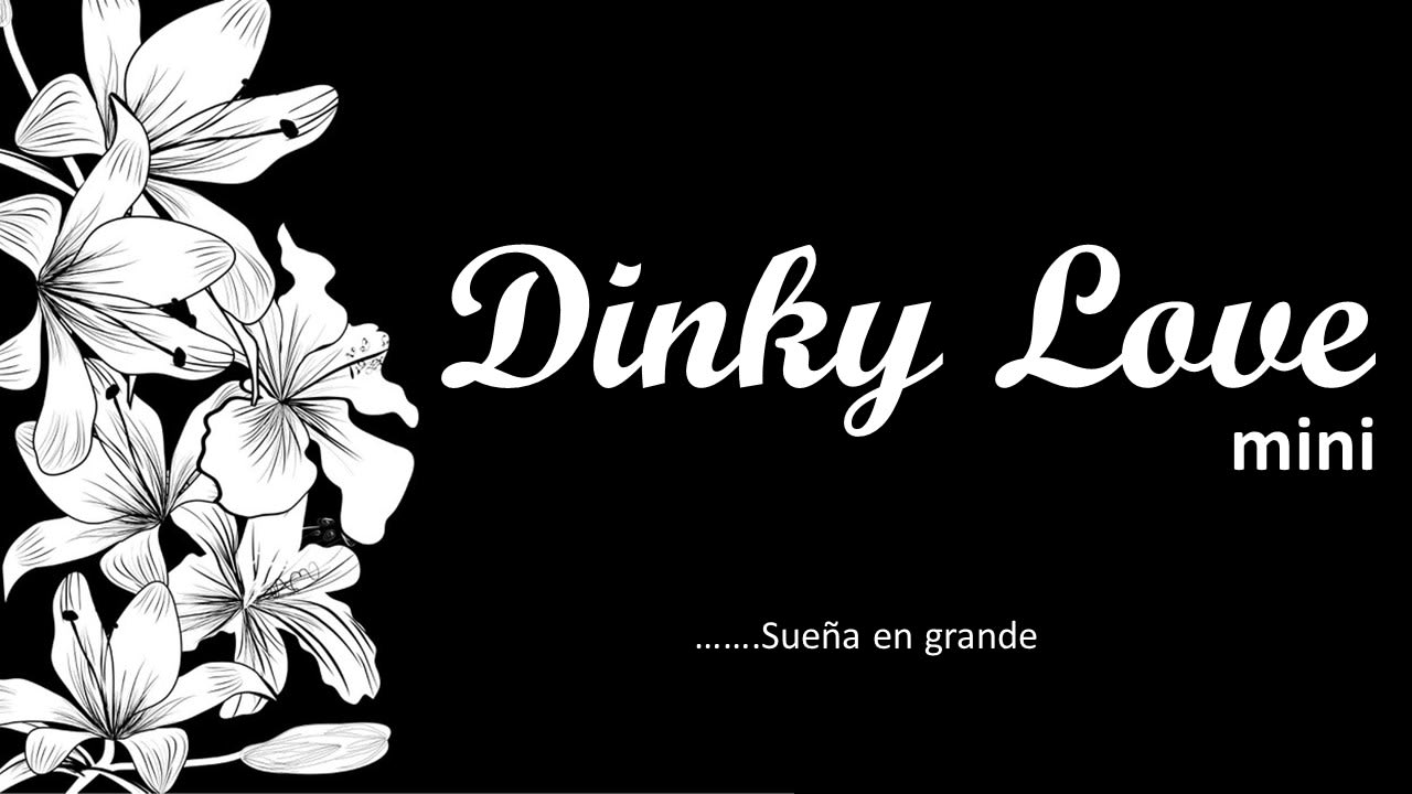 Dinky Love