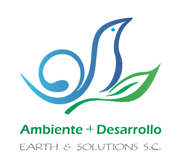 Earth & Solutions S.C.