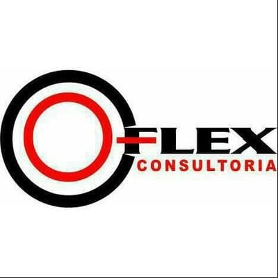 Flex Consultoria