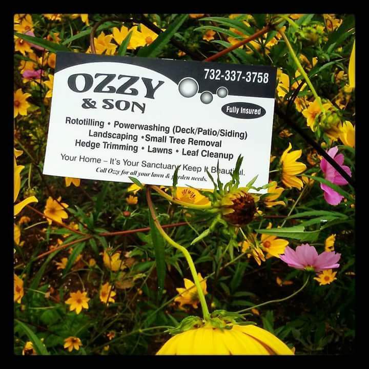 Ozzy and Son Landscaping
