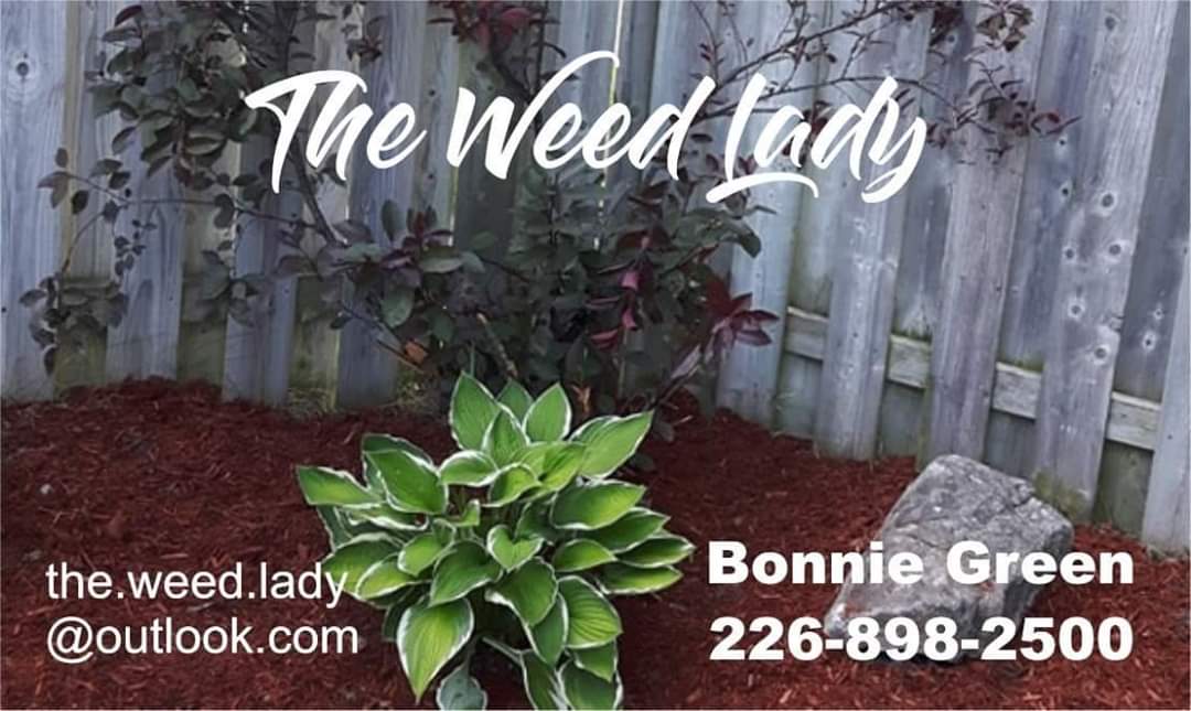 The Weed Lady
