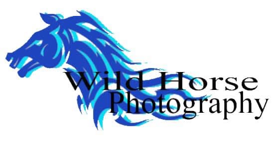 Wildhorse Photography