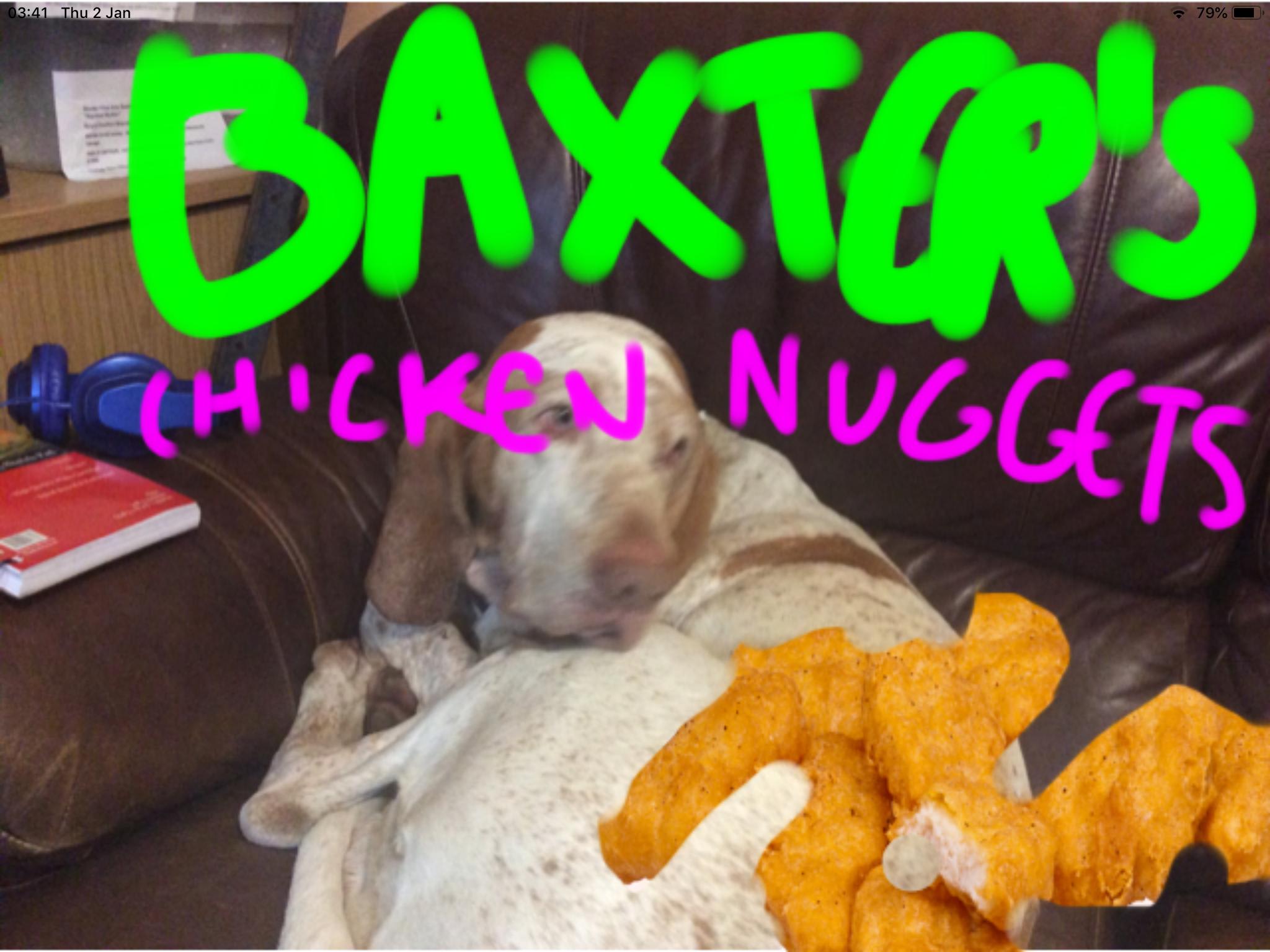 Baxter’s Chicken Nugget