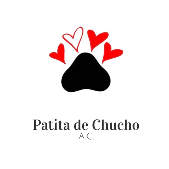 Patita de chucho ac