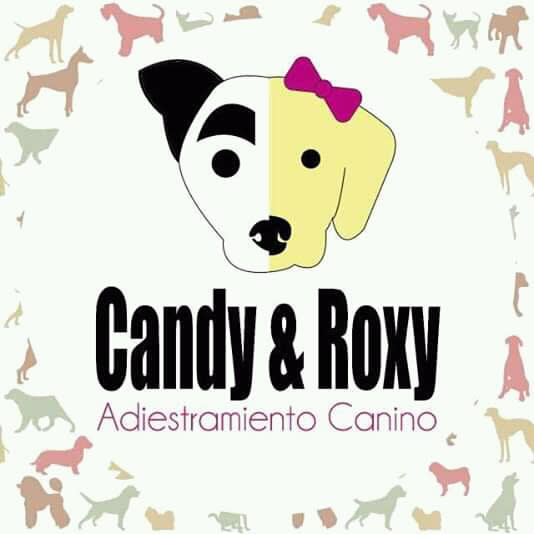Candi Roxy Adiestramiento Canino