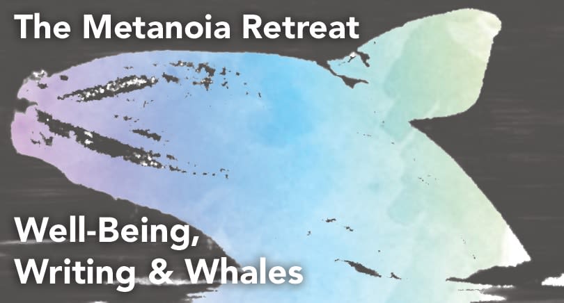The Metanoia Retreat