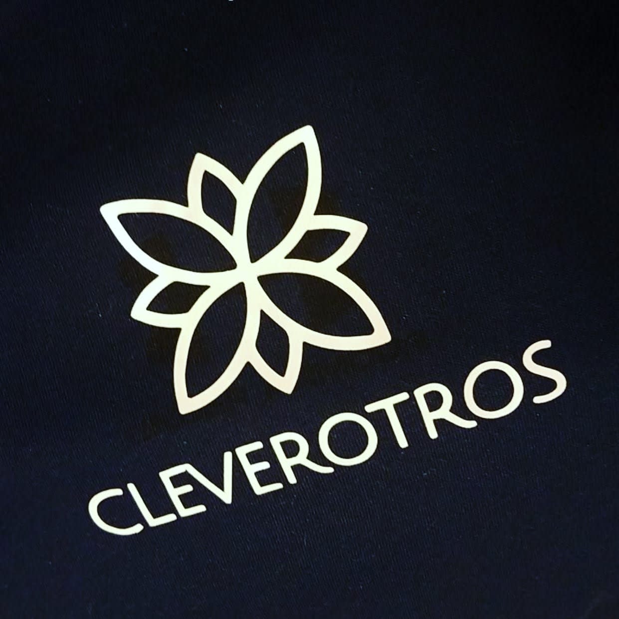 Cleverotros