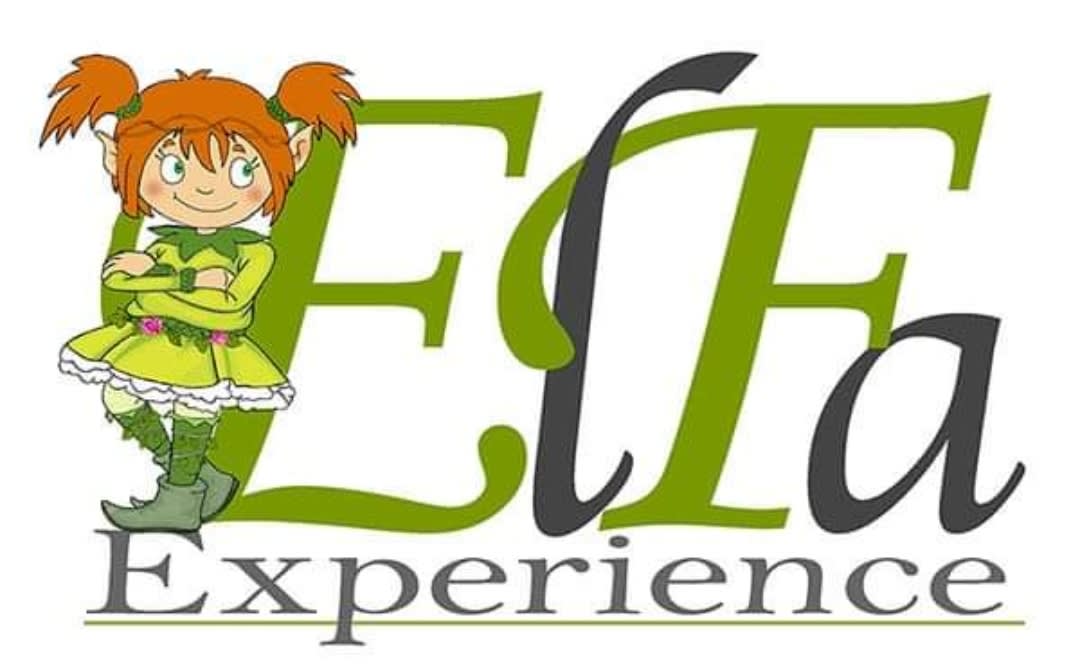 Elfa Experience